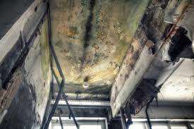  Boiling Springs, NC Mold Removal & Remediation Pros